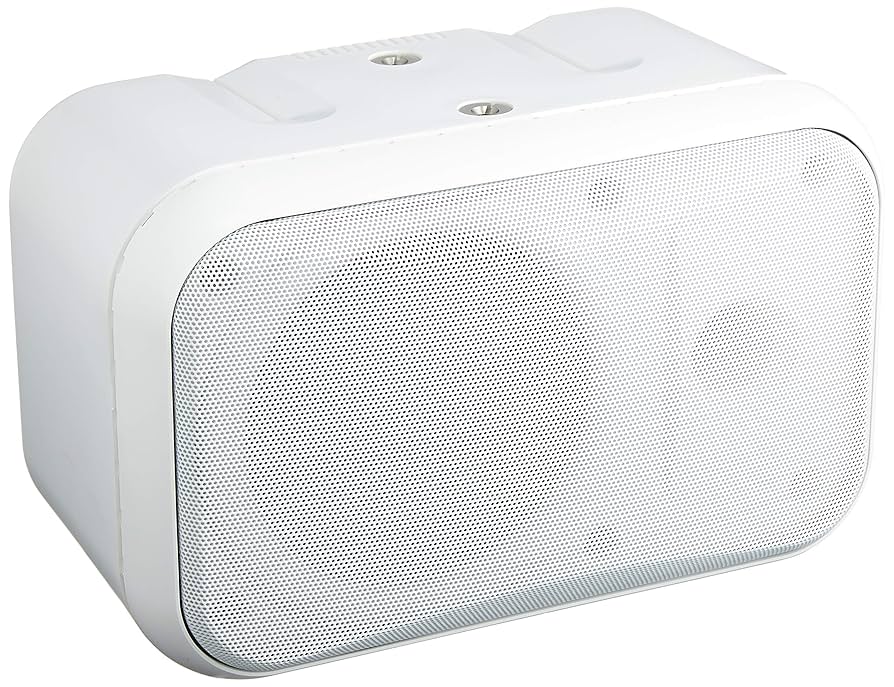 Amazon.co.jp: MASSIVE マッシブ 天吊形 120mmフルレンジ